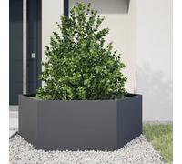vidaXL hexagone 138x120x45 cm acier
