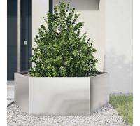 vidaXL hexagone 138x120x45 cm acier inoxydable