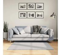 vidaXL Tapis à Poils Courts Doux et Lavable, Moquette de Sol, Tapis de Zone, Carpette de Salon Salle de Séjour Chambre, Moderne, Gris 120x120 cm