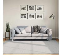 vidaXL Tapis à Poils Courts Doux et Lavable, Moquette de Sol, Tapis de Zone, Carpette de Salon Salle de Séjour Chambre, Moderne, Gris 200x200 cm