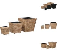 vidaXL Jardinière 3 pcs. jacinthe d'eau - Pots de fleurs & Jardinières