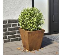 Vidaxl Jardinière 30x30x30 Cm Acier Corten