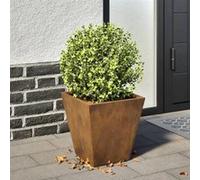 Vidaxl Jardinière 30x30x30 Cm Acier Corten