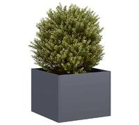 vidaXL Jardinière acier - 40x40x30 cm - Anthracite