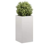 vidaXL Jardinière Acier Inoxydable 40x80 cm