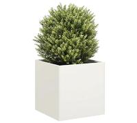 vidaXL Jardinière Acier laminé à froid - Blanc