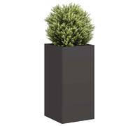 vidaXL Bac à plantes noir 40x40x80 cm Acier laminé à froid