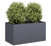 vidaXL Bac à plantes Anthracite 80x40x40 cm Acier laminé à froid