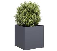 vidaXL Jardinière Anthracite 40x40x40 cm