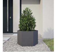 vidaXL Jardinière hexagonale en acier Anthracite 69×60×45 cm