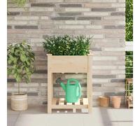 Jardinière Vidaxl Avec Étagère 60x60x76 Cm En Bois Massif De Pin