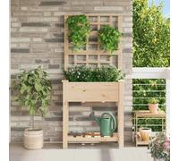 vidaXL Jardinière avec treillis et étagère en bois