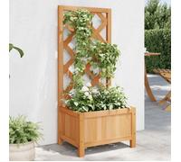 vidaXL Jardinière avec treillis – Lit surélevé, bac à fleurs – Bois massif de sapin, marron