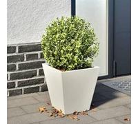 vidaXL Jardinière d'extérieur 30x30x30 cm acier blanc