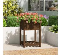 vidaXL Jardinière Bois et Étagère