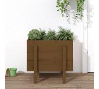 vidaXL Jardinière Bois massif de pin - Marron Miel