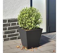 Vidaxl Jardinière Noir 30x30x30 Cm Acier