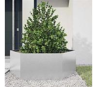 vidaXL Bac à plantes hexagonal 138x120x45 Acier galvanisé
