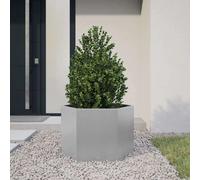 vidaXL Jardinière hexagone acier