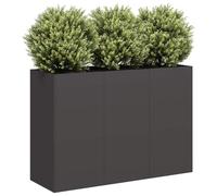 vidaXL Bac à plantes 120x40x80 cm noir acier laminé à froid