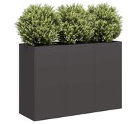 vidaXL Bac à plantes 120x40x80 cm noir acier laminé à froid