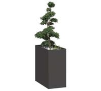 vidaXL Jardinière 40x80x80 cm Acier Noir