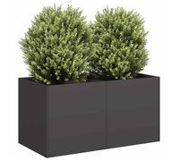 vidaXL Bac à plantes 80x40x40 cm acier laminé à froid noir
