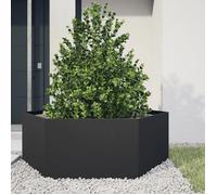 vidaXL Bac à plantes noir hexagonal 138x120x45 cm acier