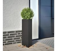 vidaXL Jardinière d'extérieur Triangulaire 30x26x75 cm Acier Noir