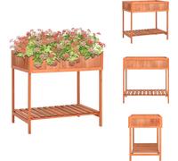 vidaXL Jardinière pour herbes aromatiques 80x60x80 cm Sapin massif - Pots de fleurs & Jardinières