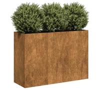 vidaXL Bac à plantes rouillé 120x40x80 cm Acier résistant aux intempéries