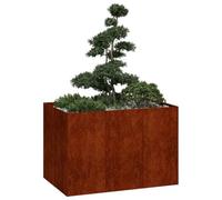 vidaXL Jardinière rouillé 120x80x80 cm Acier Inoxydable, Pot de Fleurs, Support de Plantes, lit surélevé, Support de jardinière, bac à Plantes