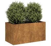 vidaXL Jardinière rouillé 80x40x40 cm acier inoxydable, pot de fleurs, support de plantes, lit surélevé, support de 860674