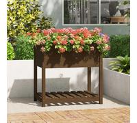 VidaXL Jardinière surélevée avec étagère