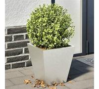 vidaXL Jardinières 2 pièces 30×30×30 cm en acier inoxydable