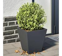 vidaXL Jardinières 2 pcs - Anthracite