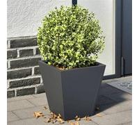 vidaXL Jardinières 2 pcs Anthracite 30x30x30 cm Acier, jardinières d'extérieur