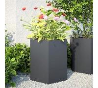 vidaXL Bacs à plantes de jardin 2 pièces anthracite hexagonal 46x40x45 acier