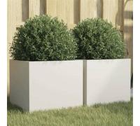 vidaXL Jardinières 2 pcs, Bacs à Fleurs, Pots de Plantes, Boîtes à Fleurs, Jardinières Surélevées de Jardin Terrasse, Blanc 841538 Blanc G