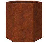 vidaXL Bac à plantes 2 pcs hexagonal 46x40x45 cm Acier résistant aux intempéries