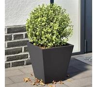 vidaXL Jardinières 2 pcs Acier Noir