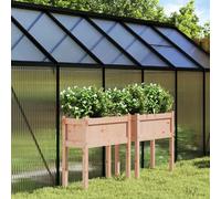 vidaXL Jardinières 2 pcs sur pieds - Bois massif de douglas