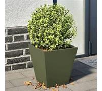 Vidaxl Jardinières 2 Pcs Vert Olive 30x30x30 Cm Acier