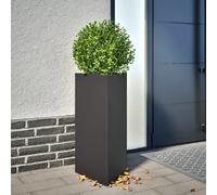 VIDAXL Jardinières