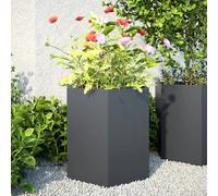 vidaXL Jardinières 851113 - Anthracite