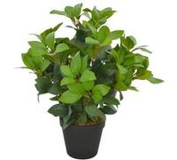 Kunstplant met pot laurierboom 40 cm groen280177