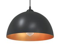 Vidaxl Lampes Suspendues 2 Pcs Hauteur Réglable E27 Noir Ø 30 Cm Métal