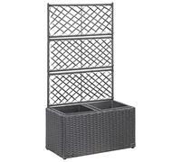 vidaXL Lit Surélevé en Treillis 2 Pots Bac à Plante Jardinière Jardin Balcon Patio Terrasse Extérieur 58x30x107 cm Résine Tressée Noir