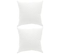 vidaXL Lot de 2 oreillers Fulda 60 x 60 cm, 100 % duvet et plumes d'oie, housse en coton doux, oreiller confortable, hypoallergénique, respirant et moelleux, lavable en machine