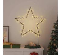 vidaXL Lumières de Noël silhouette d'étoile 115 LED blanc chaud